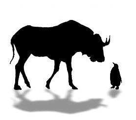 What are you looking at?